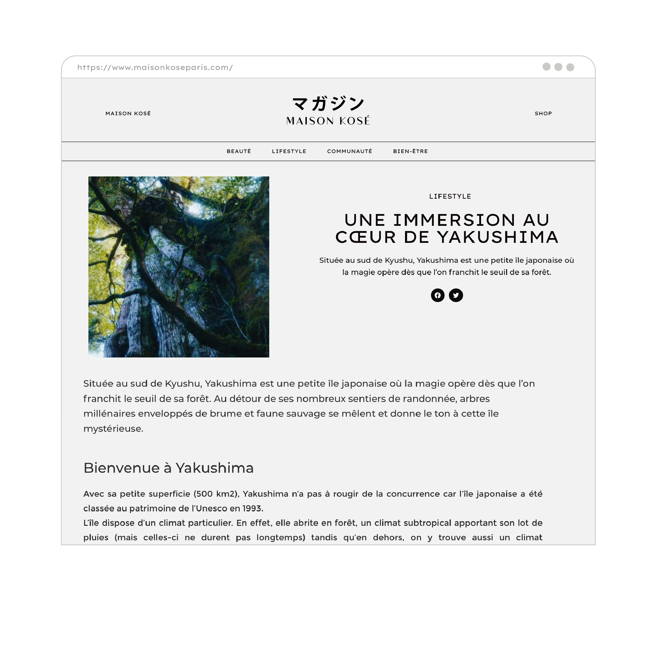 Maison KOSE Paris webzine Brandjournalism Lifestyle 1703 Factory